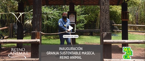 Granja